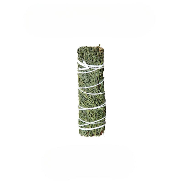 Cedar Grid Smudge Protocol for Mycelium Reboot & Biofield Anchoring | DaoZeno