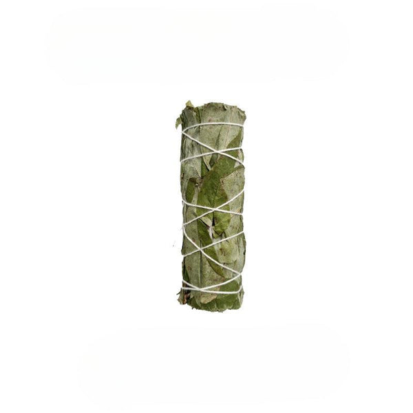 Eucalyptus Smudge Sticks Incense Wands for Cleansing | DaoZeno