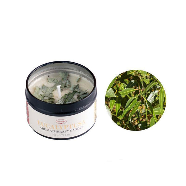 Eucalyptus Aromatherapy Scented Candle For Meditation & Cleansing | DaoZeno