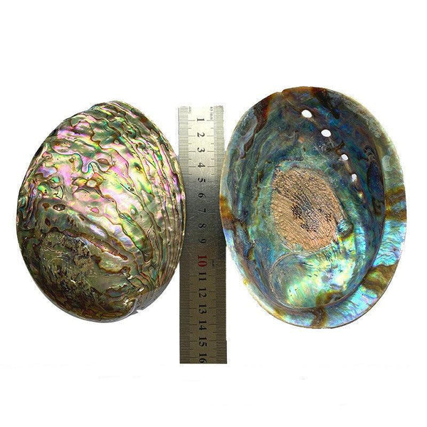 Natural Abalone Shell Smudge Bowl For Witchcrafts Herbs Burning | DaoZeno